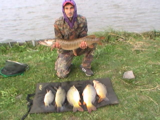 la rapitor - pic3892.JPG